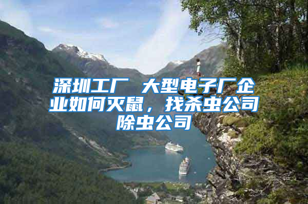 深圳工廠 大型電子廠企業如何滅鼠，找殺蟲公司除蟲公司