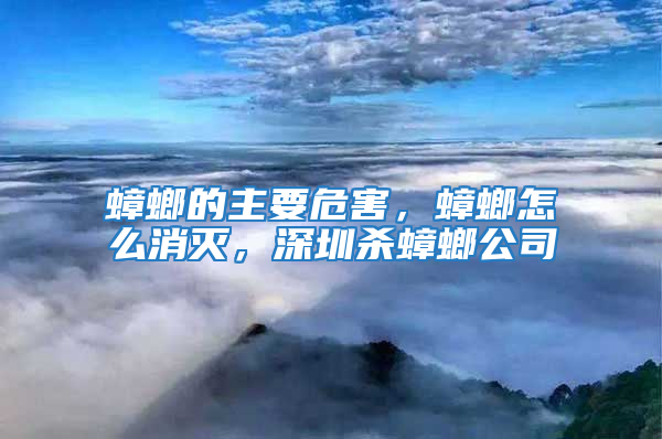 蟑螂的主要危害，蟑螂怎么消滅，深圳殺蟑螂公司