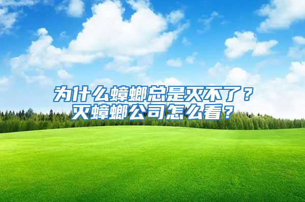 為什么蟑螂總是滅不了？滅蟑螂公司怎么看？