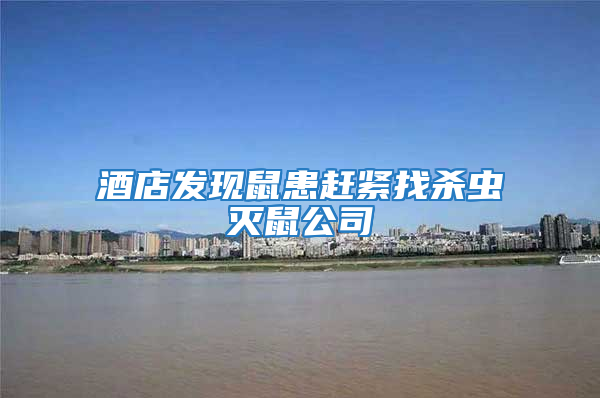 酒店發現鼠患趕緊找殺蟲滅鼠公司