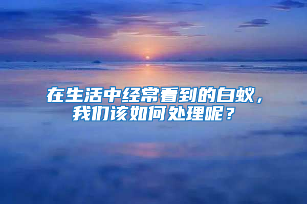 在生活中經(jīng)常看到的白蟻，我們該如何處理呢？