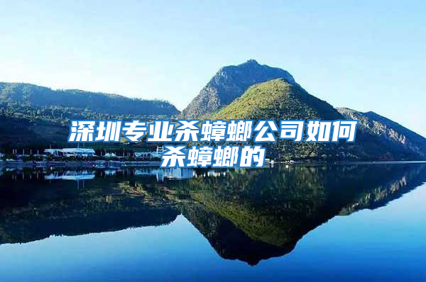深圳專(zhuān)業(yè)殺蟑螂公司如何殺蟑螂的