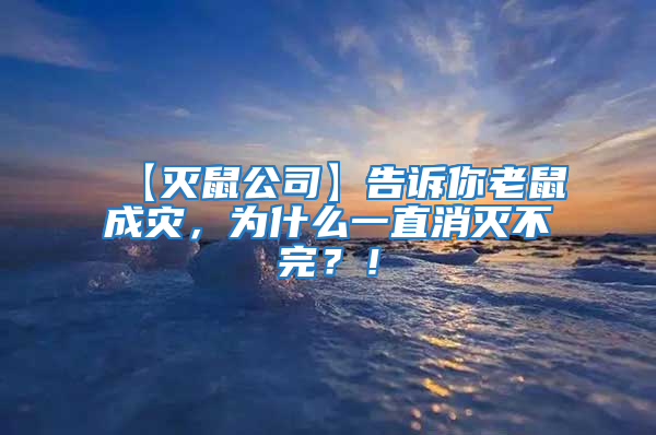 【滅鼠公司】告訴你老鼠成災，為什么一直消滅不完？！