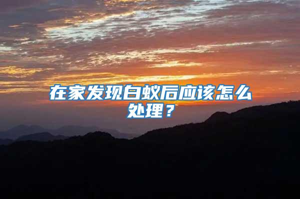 在家發現白蟻后應該怎么處理？