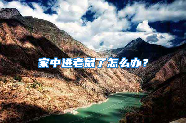 家中進老鼠了怎么辦？