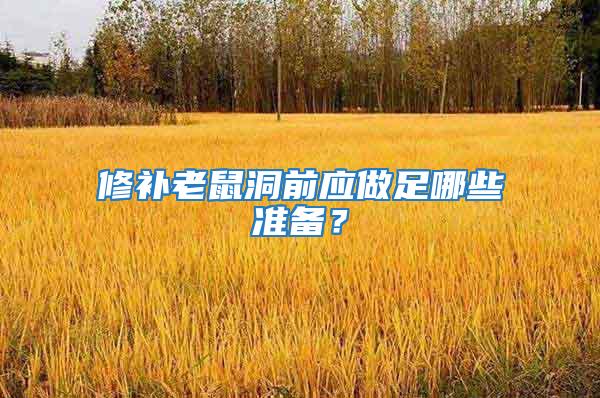修補(bǔ)老鼠洞前應(yīng)做足哪些準(zhǔn)備？