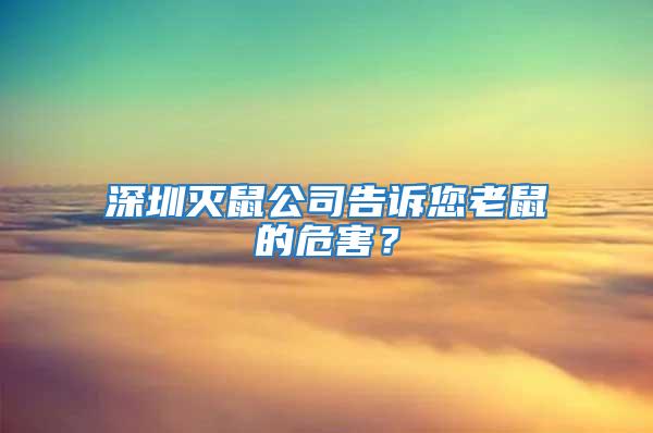 深圳滅鼠公司告訴您老鼠的危害？