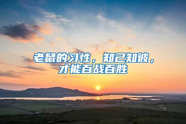 老鼠的習(xí)性，知己知彼，才能百戰(zhàn)百勝