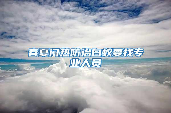 春夏悶熱防治白蟻要找專業人員