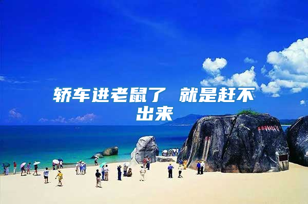 轎車進(jìn)老鼠了 就是趕不出來