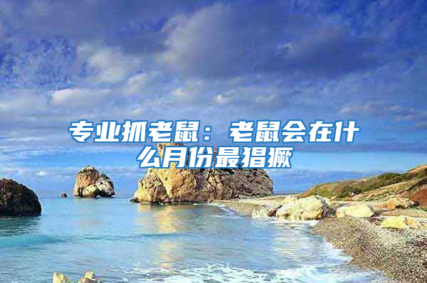 專業抓老鼠：老鼠會在什么月份最猖獗