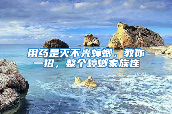 用藥是滅不光蟑螂，教你一招，整個蟑螂家族連