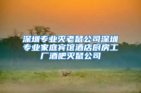 深圳專業滅老鼠公司深圳專業家庭賓館酒店廚房工廠酒吧滅鼠公司