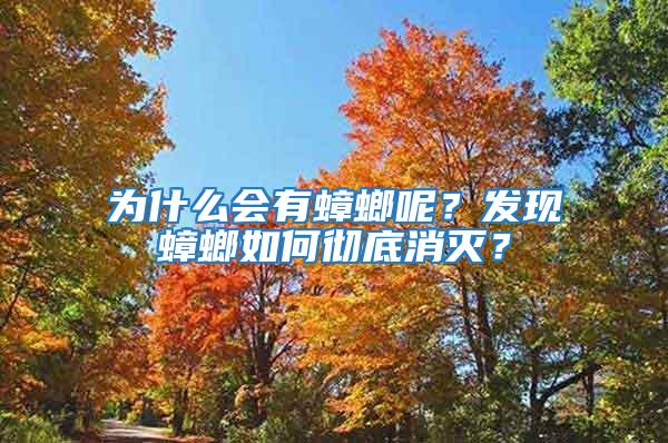 為什么會有蟑螂呢？發現蟑螂如何徹底消滅？