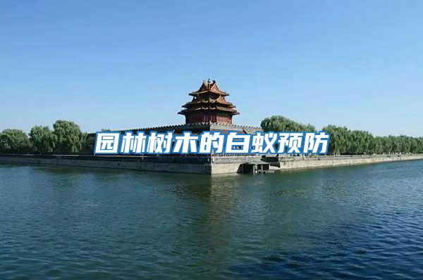 園林樹木的白蟻預防
