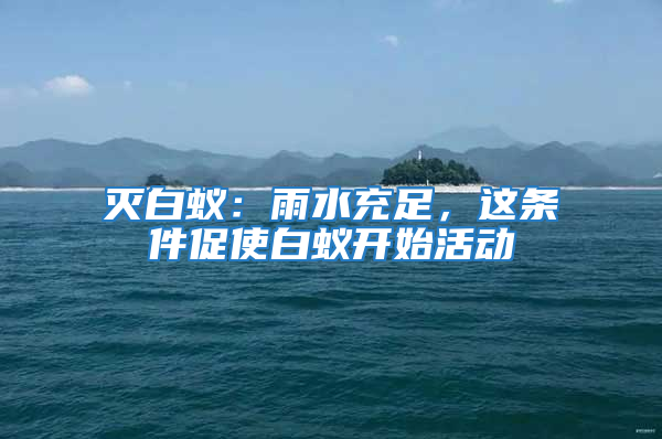 滅白蟻：雨水充足，這條件促使白蟻開(kāi)始活動(dòng)
