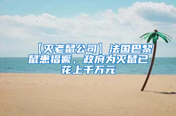 【滅老鼠公司】法國巴黎鼠患猖獗，政府為滅鼠已花上千萬元