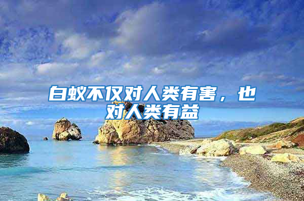 白蟻不僅對人類有害，也對人類有益