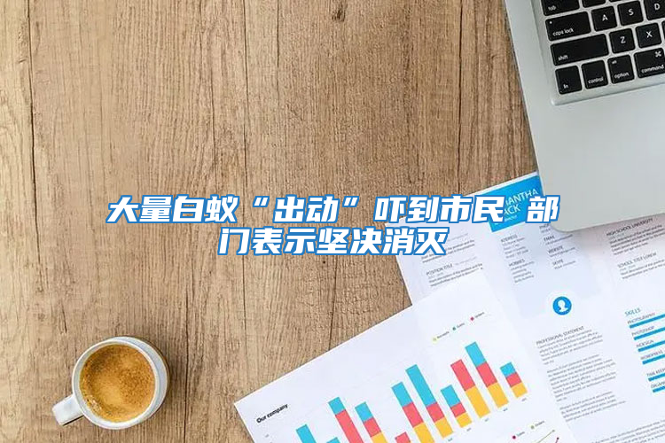 大量白蟻“出動”嚇到市民 部門表示堅決消滅
