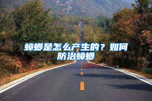 蟑螂是怎么產生的？如何防治蟑螂