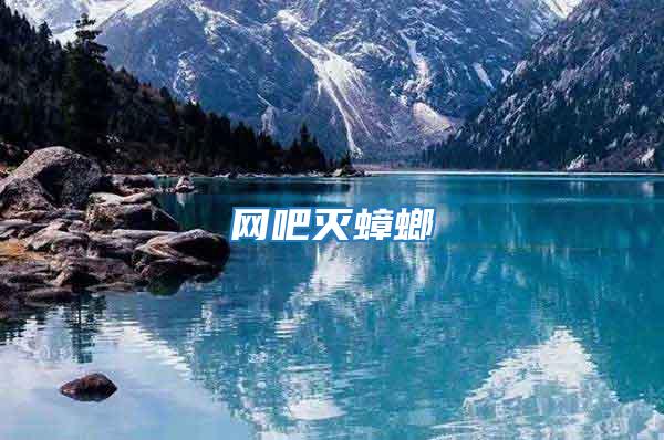 網吧滅蟑螂