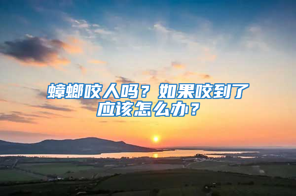 蟑螂咬人嗎？如果咬到了應該怎么辦？