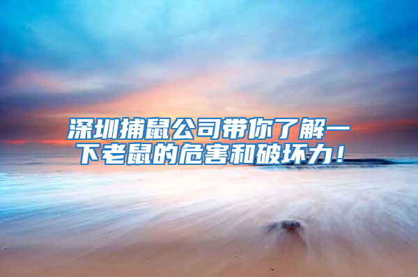 深圳捕鼠公司帶你了解一下老鼠的危害和破壞力！