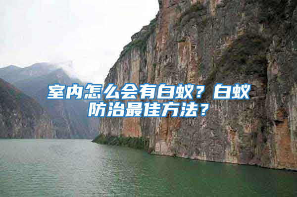 室內怎么會有白蟻？白蟻防治最佳方法？
