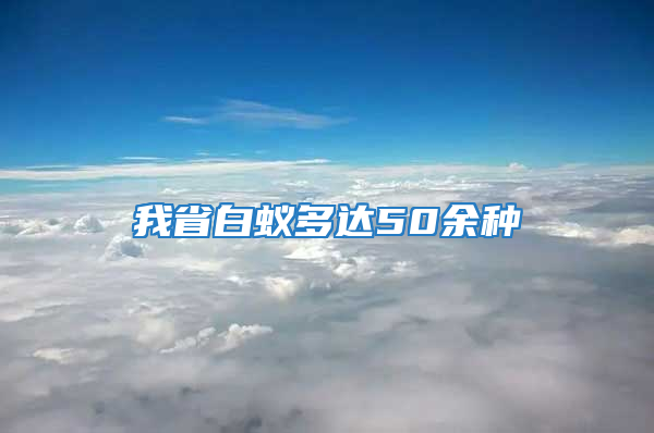 我省白蟻多達50余種