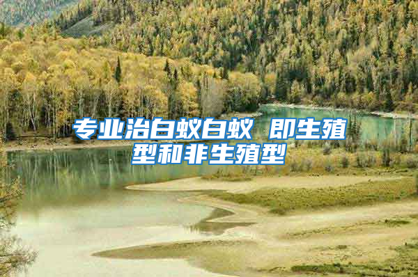 專業治白蟻白蟻 即生殖型和非生殖型