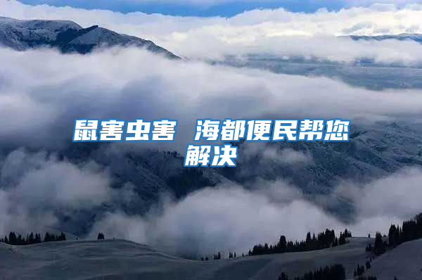 鼠害蟲(chóng)害 海都便民幫您解決