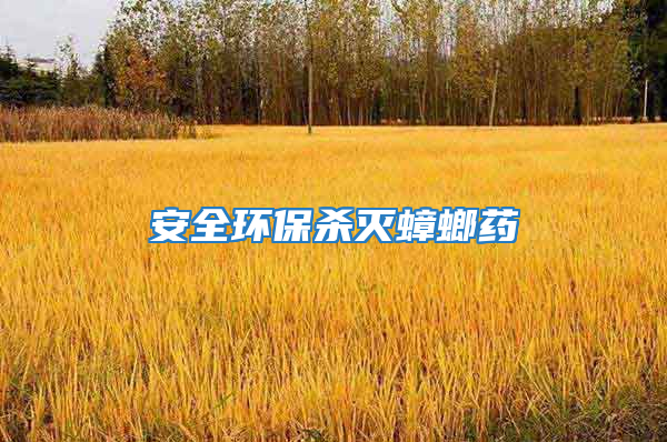 安全環保殺滅蟑螂藥
