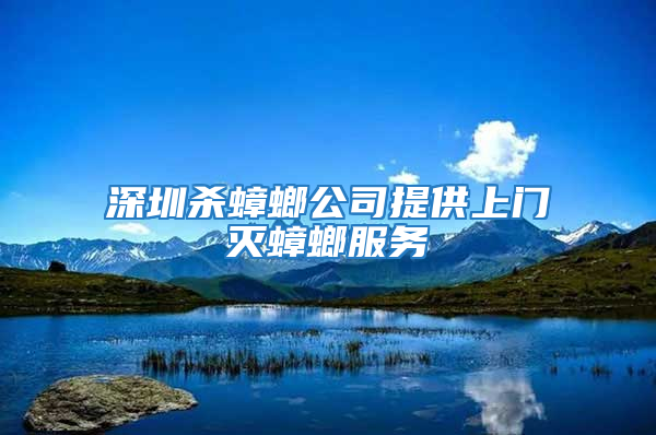 深圳殺蟑螂公司提供上門滅蟑螂服務