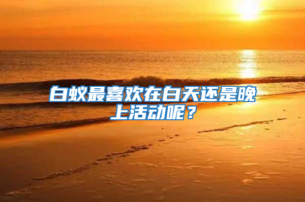 白蟻?zhàn)钕矚g在白天還是晚上活動(dòng)呢？