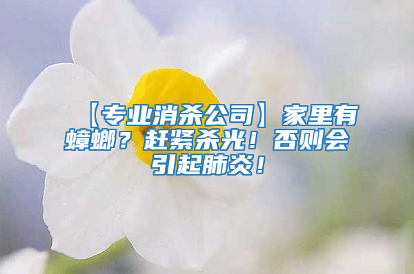 【專業(yè)消殺公司】家里有蟑螂？趕緊殺光！否則會引起肺炎！