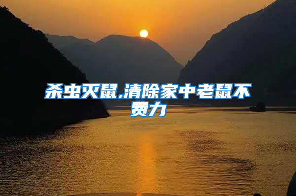 殺蟲滅鼠,清除家中老鼠不費力