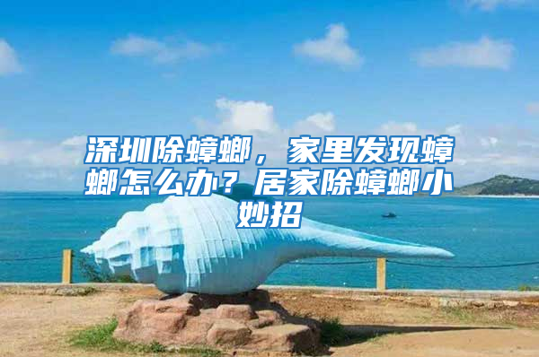 深圳除蟑螂，家里發現蟑螂怎么辦？居家除蟑螂小妙招